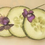 Cucumber – Hydration SuperStar