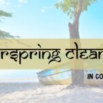 AyurSpring Cleanse Retreat